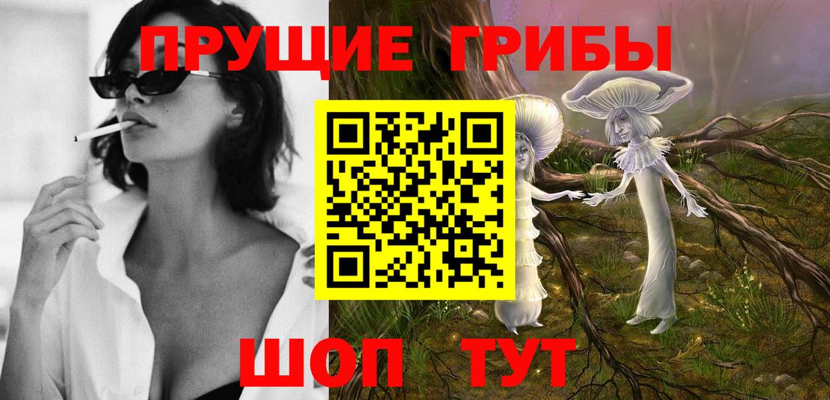 Менделеевск  Галлюциногенные грибы Cubensis  Вход с VPN  Псилоцибиновые грибы Psilocybine cubensis 